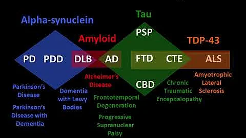 Neurocognitive Disorders Overview by Daniel Kaufer...