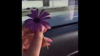 Sonds App Marağlı Dini Vidyolar Qısa Sevimli Vidyolar