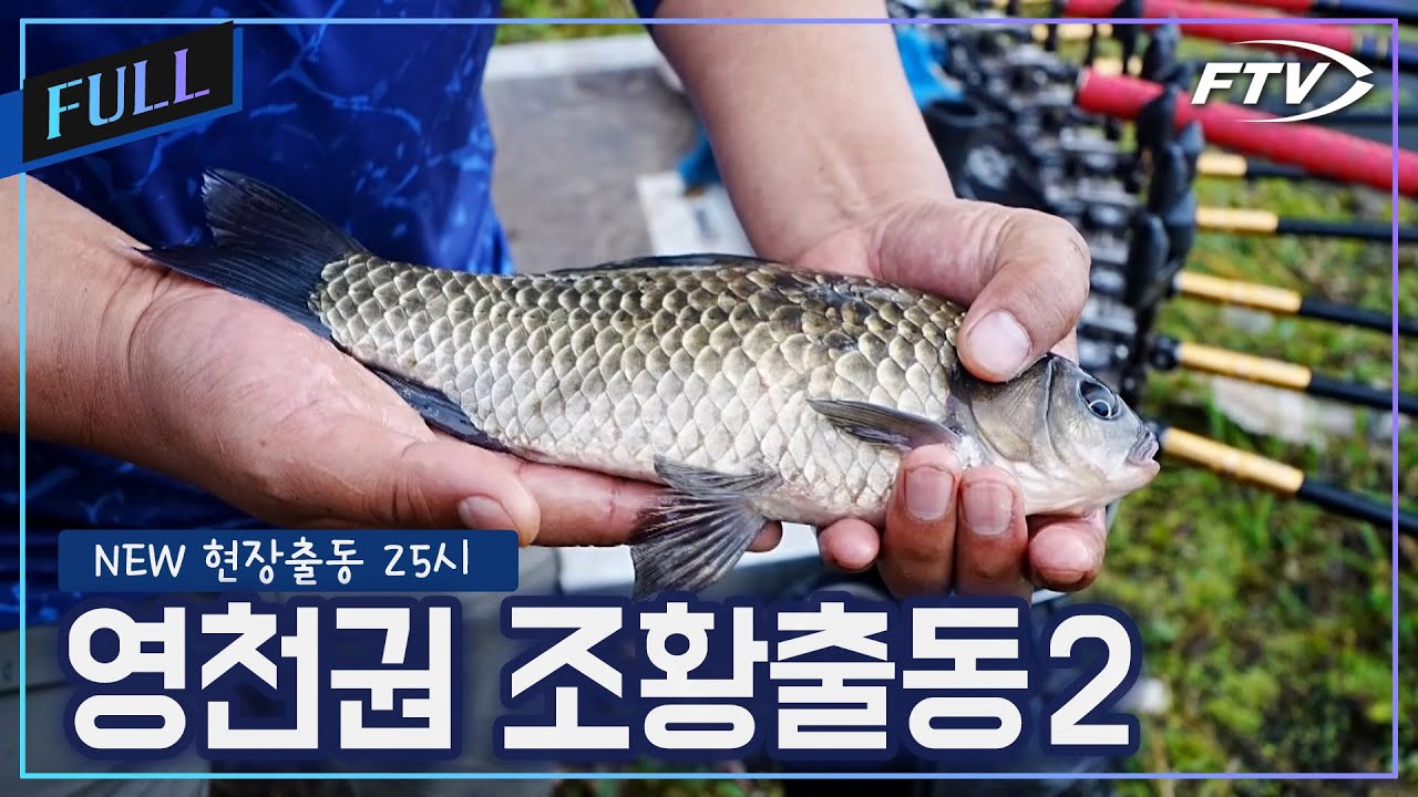 영천권 조황출동2 [NEW현장출동25시/114회]