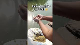 #astrology#Rahu remedy Lal kitab#numerology#free Lal kitab remedy#vedic astrology#tantra#Mantra#yant