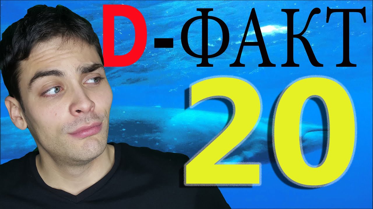 20 ИНТЕРЕСНЫХ ФАКТОВ. D-Факт (#4) - YouTube