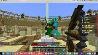 Minecraft Mineplex Mixed Arcade