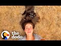 Woman tries for 3 years to win over feral cat  the dodo