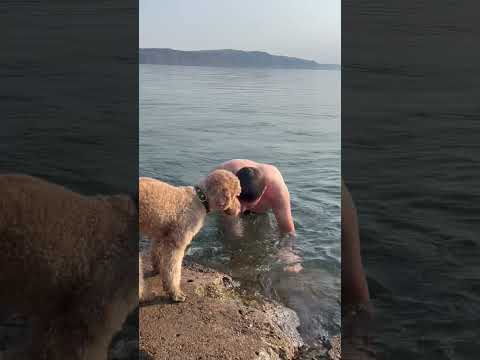 Прыжок в Байкал! Температура воды 6 градусов!!!