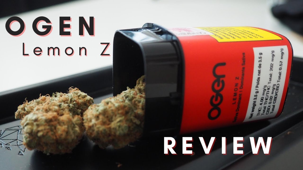 OGEN Lemon Z Weed Review