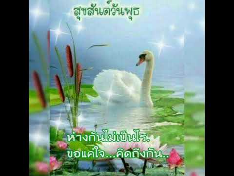 สวัสดีวันพุธ \