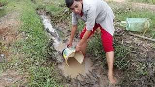 Awesome Traditional Girl Hand Fishing Video | Best Hand Fishing From Mud Water.