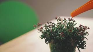 Breon Engineering Commercial