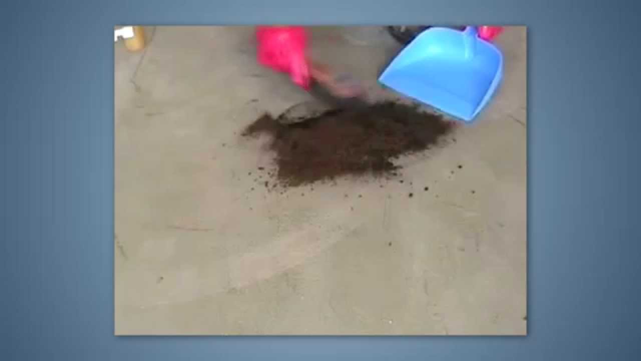 Global Peat oil and fuel absorbent