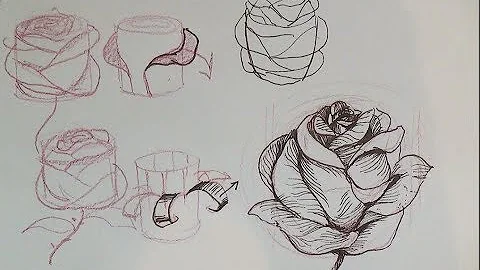 How to draw a rose