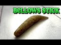 [Geecrack] New trend from Japan - California Halibut [Bellows Stick]