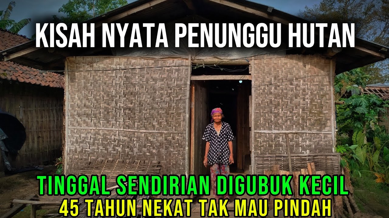 NAMANYA MBAH SATEMI SI NENEK PEMBERANI TINGGAL SENDIRIAN DIHUTAN 