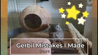 Gerbil Care - My Gerbil Care Mistakes Part 2