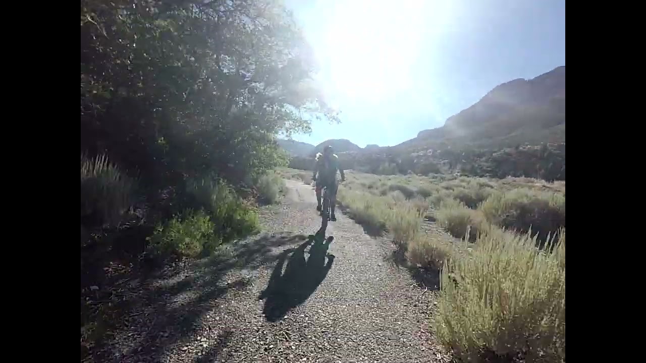Acastus trail en Mt. Charleston, NV