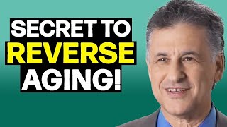 Neuroscientist Reveals The Secret To Long Term Brain Health | Dr. Dan Levitin