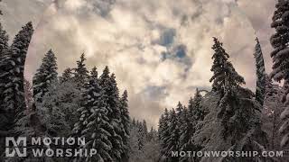 Winter Sunrise Close Pine Zoom HD Loop by Motion Worship