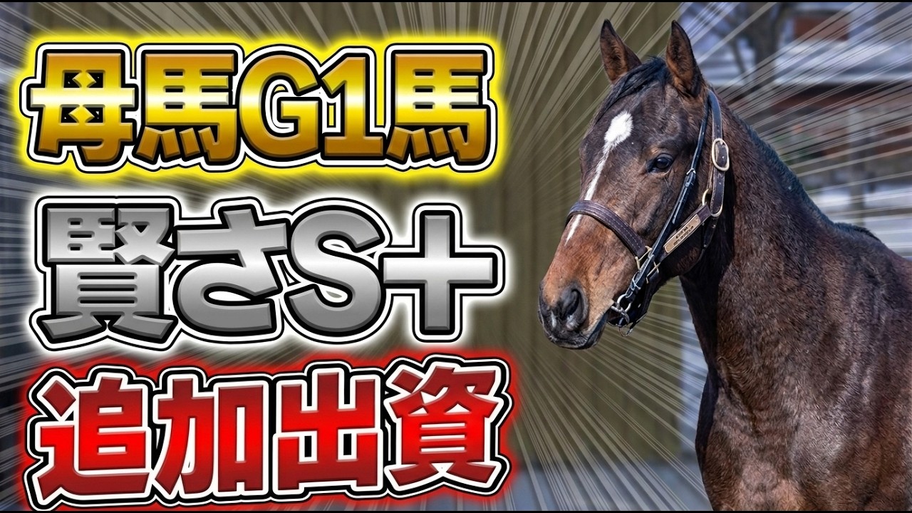 合う馬 Further investment decided] I've found an incredibly powerful