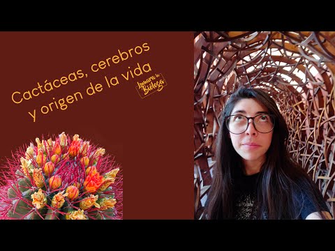 ¡Especial 15K! Lo mejor del Museo Laberinto