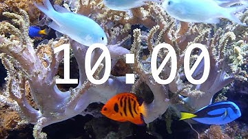 10 Minute Aquarium Countdown Timer |  Ocean Timer | Fish Timer | Relaxing Music
