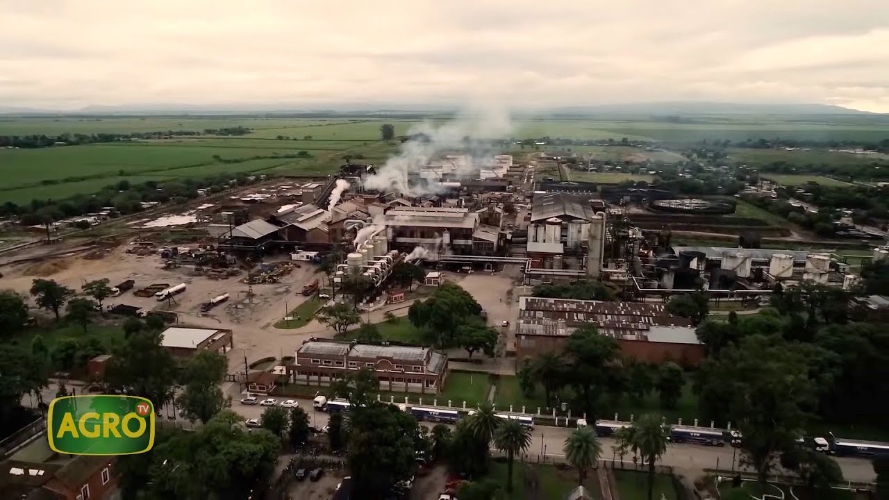 Los Balcanes: Líder en producción de azúcar y bioetanol en Argentina (#1008 2022-12-03)