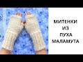 ВЯЗАНЫЕ МИТЕНКИ ИЗ ПУХА МАЛАМУТА // fingerless mittens from malamute wool