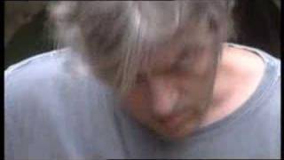 .Robyn Hitchcock-Dominoes chords