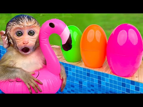 Baby Monkey BonBon Swims with Cute Animals and Eats Ice Cream with Cute Puppy - BonBon Farm