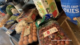 Summertime Costco Haul