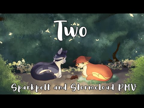 Two - Sparkpelt and Stormcloud PMV