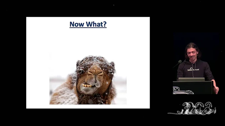 Netanel Rubin: The Perl Jam 2