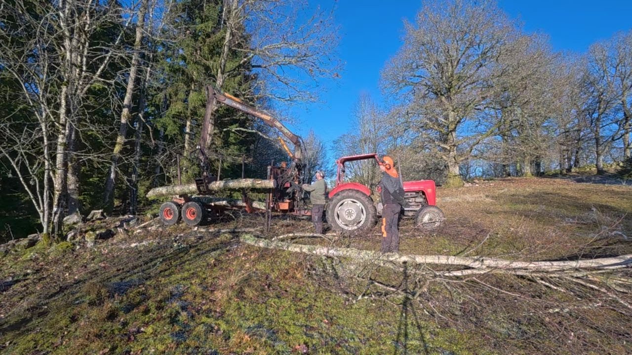 Lima skogskranen fixas och provkörs