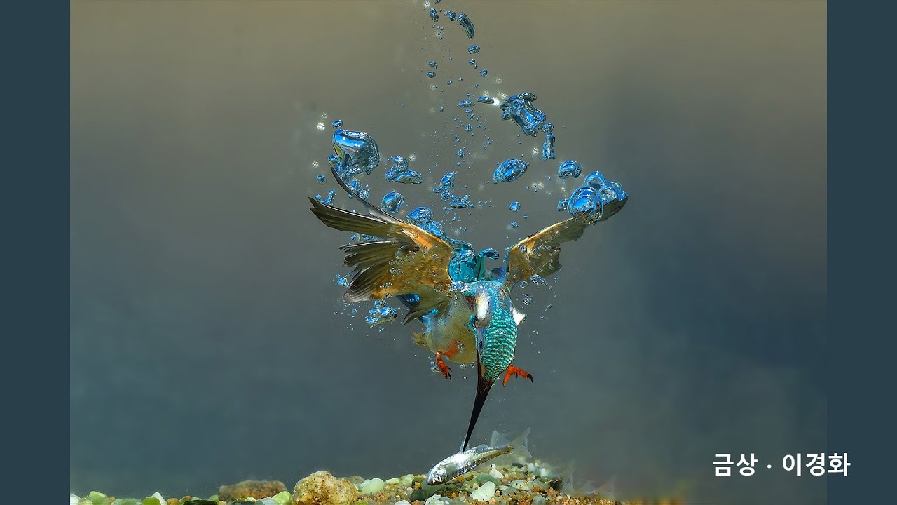 2021 제1회 베스트 사진공모전 수상작품 (주제: 자유작)