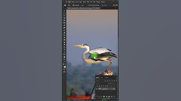 Disabled Animated Zoom Preview in Photoshop #shorts