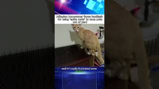 Arlington homeowner faces backlash for using 'spike mats' to keep pets out of yard#news