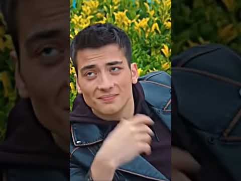 يا سيدي الغدار يا الثعلب المكار