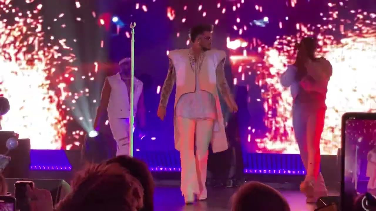 Adam Lambert “If I Had You” - LIVE in Los Angeles