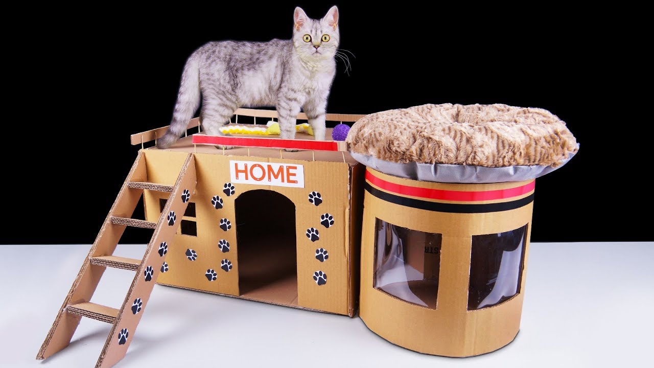 How to Make Amazing Kitten Cat House from Cardboard at ...