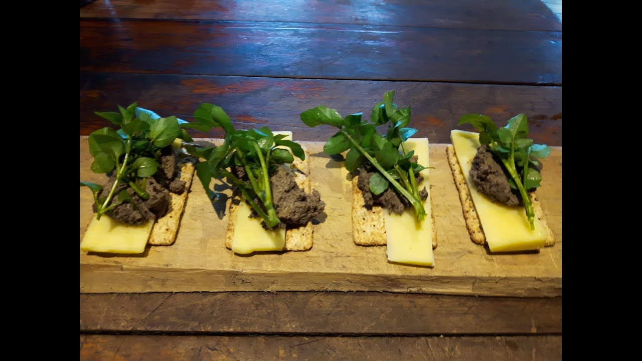 How to make home kill Venison Pate: on a wood stove and solar power