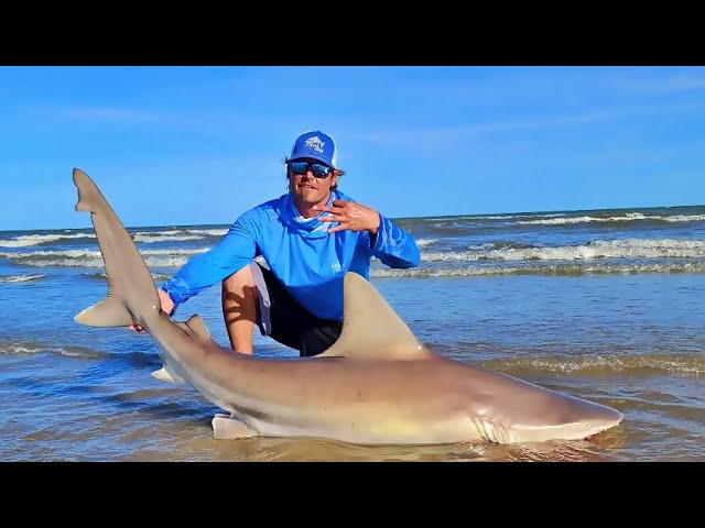 Fishing off crystal beach - Review of Gulf Coast Yaker's Shark Fishing(B),  Bolivar Peninsula, TX - FishingBooker