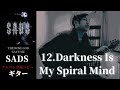 SADS / Darkness Is My Spiral Mind【THE ROSE GOD GAVE ME】 ギター 弾く