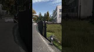 Drop Your Gear Or Keep Moving - DayZ