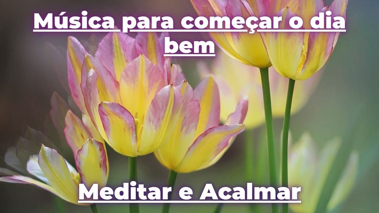 Meditar e acalmar com música calma para começar o dia bem #meditar # ...