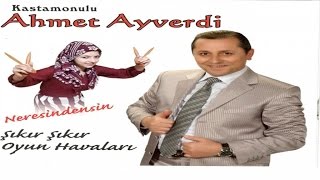 Kastamonu'lu Ahmet Ayverdi - Bekarlık Sultanlık Resimi