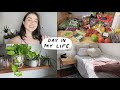 VLOG: grocery haul, buying, and selling furniture