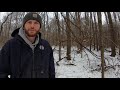 #56 Increase The Value of Your Timber - Proper Forest Management