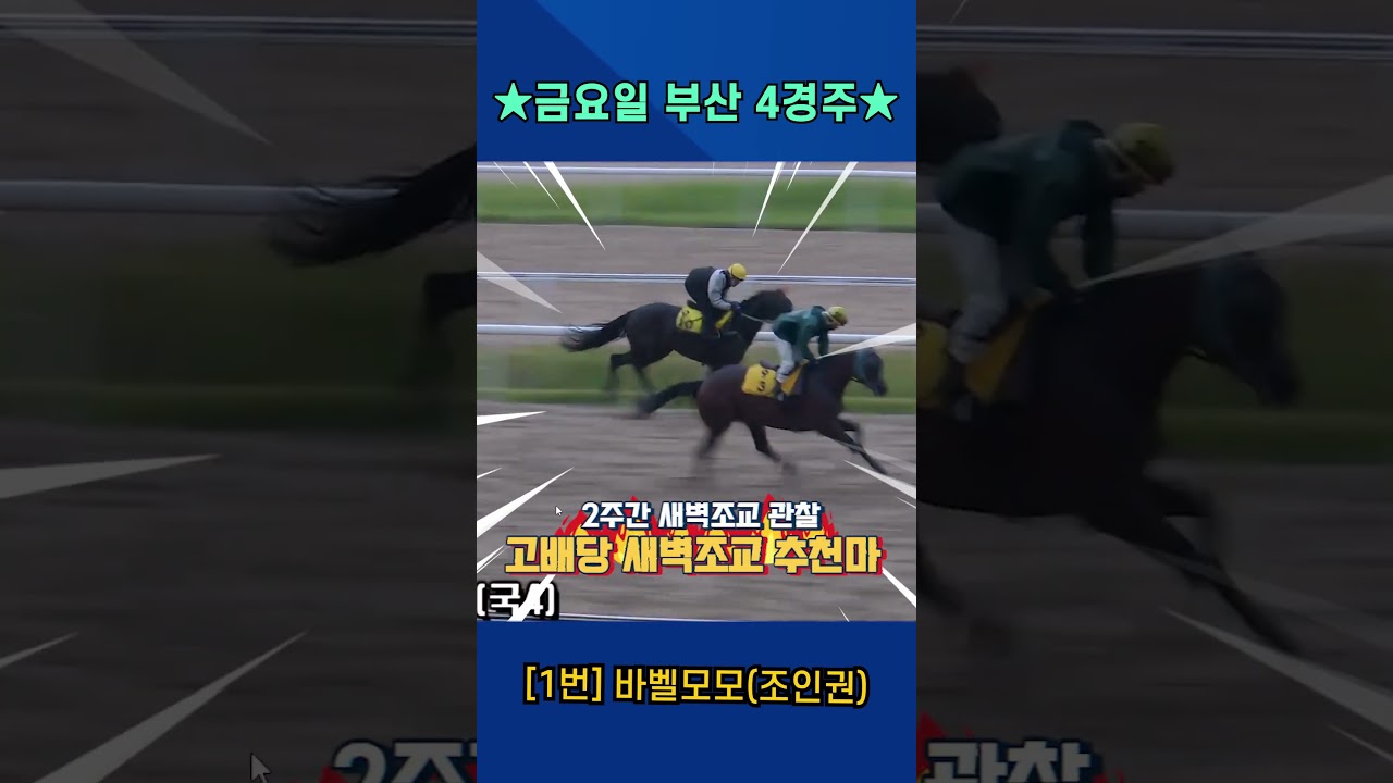 7월3일 금요일 부산 4경주!! 2주간 훈련보인 강백호의 새벽조교 쏘스마!!