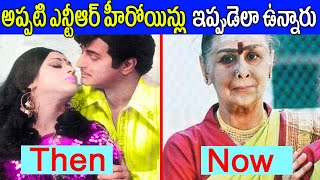 NTR Heroines Then and Now | Sr NTR Telugu Old Movies | Vanisri to Saroja Devi | Telugu NotOut