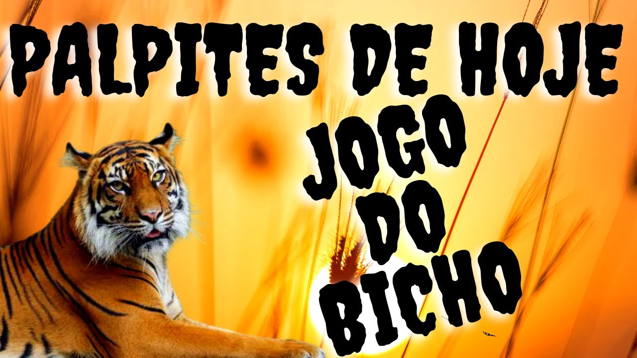 PALPITES fortes para hoje 24/05/2023 no jogo do bicho valendo para ...