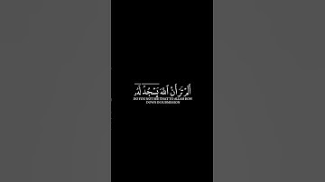 كروما تصمیم #قرآن_کریم 4k #سورة_الحج#القارئ_ياسر_الدوسري أَلم تر أن اللَّه يسجد له من في السموات ومن