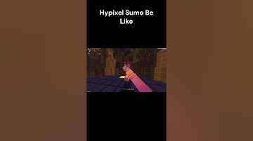 Hypixel Sumo Be Like